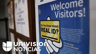 ¿Qué es el Real ID, para qué sirve y qué se debe hacer para obtenerlo? Acá te contamos