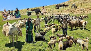 Nomadic Life: Nomadic Adventure in the Zagros Mountains of Iran: Herding and Local Nomadic Food🏞