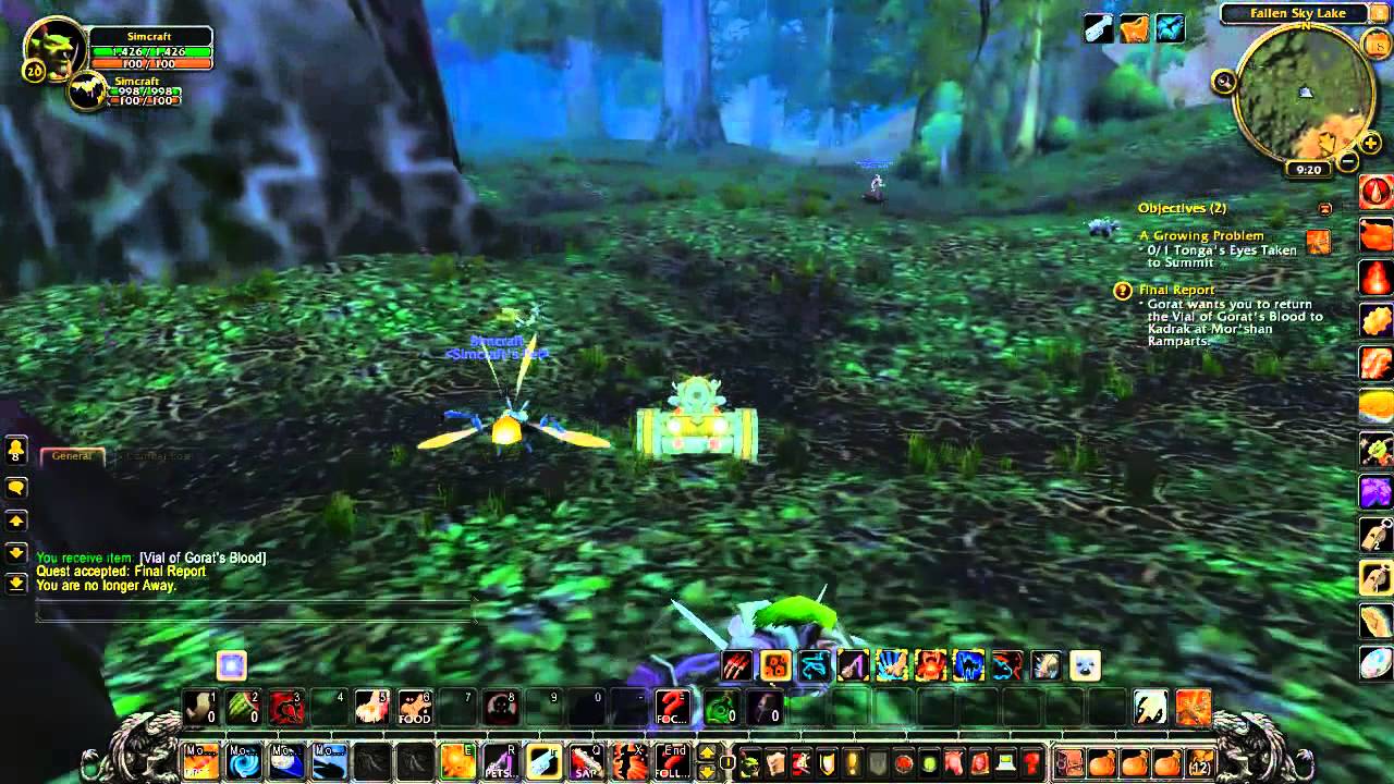 Final Report - World of Warcraft Quest