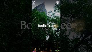 A Journey To The Sacred Bodhi Tree In Bodha, Where Gautam Buddha Attained Enlightenment.