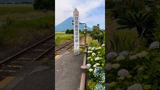 JR日本最南端の駅-西大山站