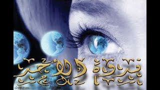 ندوة الأحد د نجيب الكيلاني  