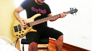 Red Hot Chili Peppers - Higher ground (Bass Cover)
