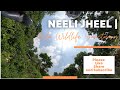 Neeli Jheel | Asola Wildlife Sanctuary | Failed Attempt
