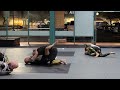 BROWN BELT (UFC FIGHTER) VS. MIGHTY MOUSE (NOGI) CALIFORNIA