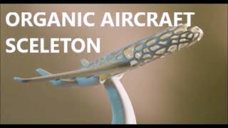 Full Light weight bionic design of organic high strength aircraft with quasi wing with rough lower wing Guide