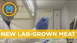 Ontario researchers have created a new type of lab-grown meat  | Your Morning