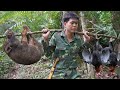 Life in the wilderness: trapping wild boars and chickens, caring for abandoned wild boar piglets