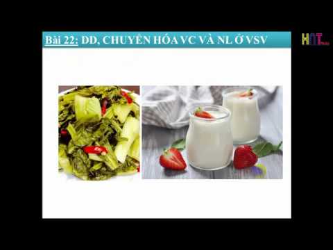BAI 22 SINH HOC 10  DINH DUONG, CHUYEN HOA VAT CHAT VA NANG LUONG O VI SINH VAT - youtube