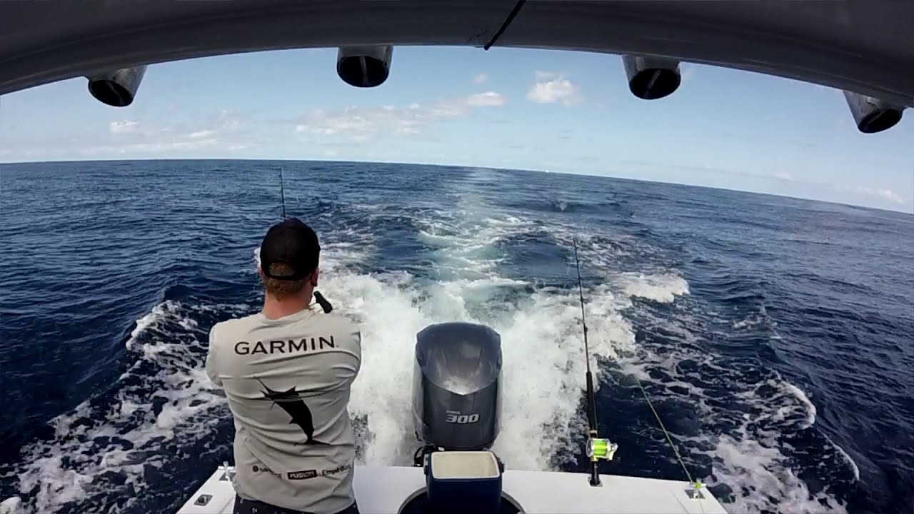 Blue Marlin Switch Baiting 15kg Line! Galaxy II