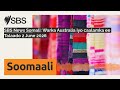 SBS News Somali Warka Australia Iyo Caalamka Ee Talaado 2 June 2026 SBS Somali SBS Afsomali 