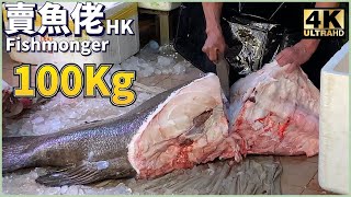 210斤 哥斯拉 巨大野生花尾龍躉 Part 2/3｜西環魚王【OH! Seafood 4K】