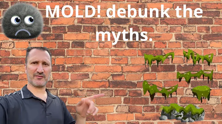 MOLD! Debunk the Myth