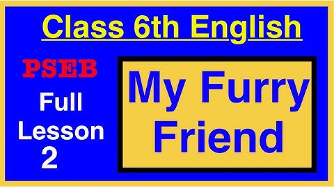 Class 6 My Furry Friend English PSEB Board | Full Lesson & Chapter Explanation | PSEB Solutions