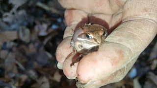 Exploring Bottle Dump ~ Return To The Victorian Farm Dump aka Heartbreak Hollow