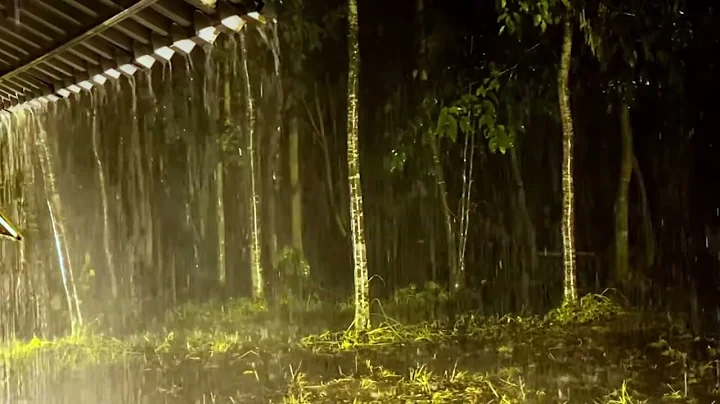 Rain & Deep Thunder Nature Sounds for Relax, Study...