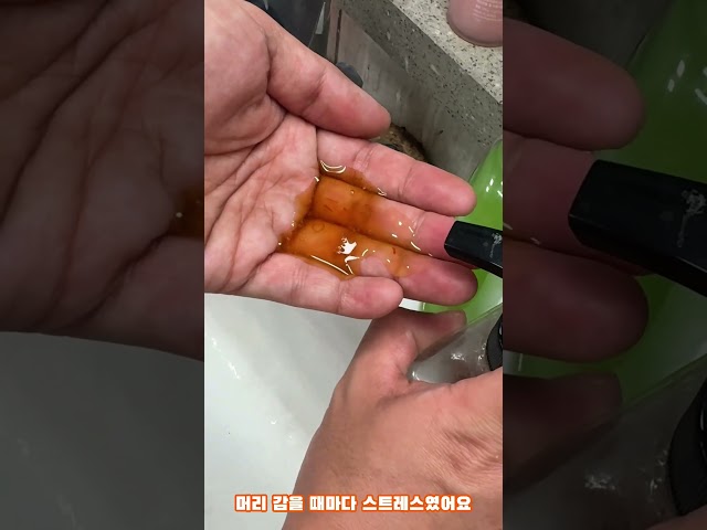 협찬 지루성두피염 때문에 샴푸 유목민이었던 내가 정착한 고루트 탕약샴푸