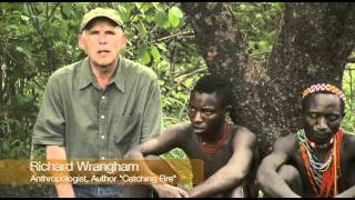 The Hadza Last Of The First - Honeyguide Bird