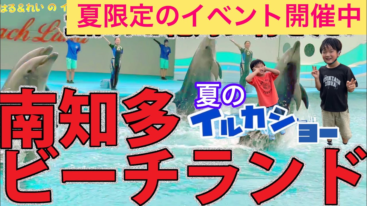 愛知水族館】南知多ビーチランド！飼育員さんインタビュー - YouTube
