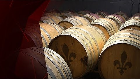 Les vins québécois ont la cote