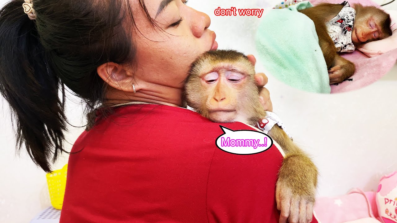 What's wrong, Lyly? Monkey Lyly was startled from her dream and ran to hug her mother.