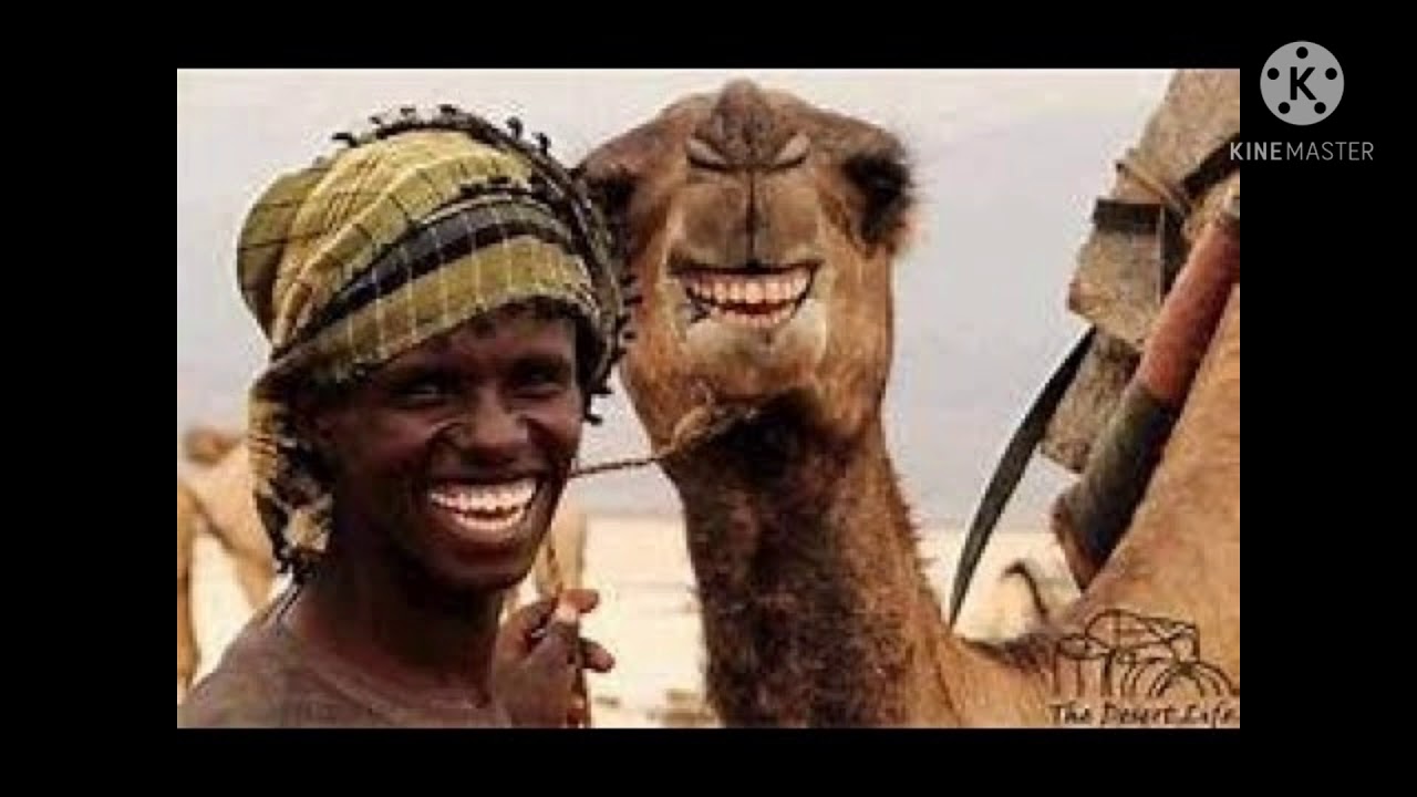 اشتغالة بدير السواق وخعيخع واءل 🤣🤣🤣🤣