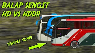 Panas!! Adu Kecepatan Bus HD vs HDD - Bus Tercepat di Bussid