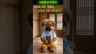 개조심..유투브 진짜 한판 뜨자!! #짜장이#시골똥개#수익창출#금지#경고#폭력#영상삭제#봤니?#웃긴영상#AI강아지#말하는강아지