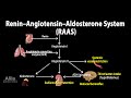 The Renin–Angiotensin–Aldosterone System, RAAS, Animation