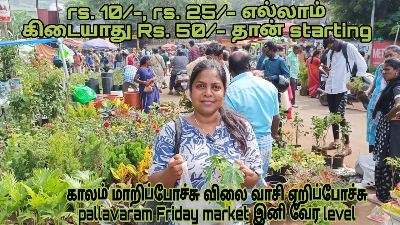 பழ மரங்கள் பூசெடிகள் காய்கறி செடி மற்றும் பனி காலத்து விதைகள் வாங்க இங்கே வாருங்கள்@RajiGowthaman