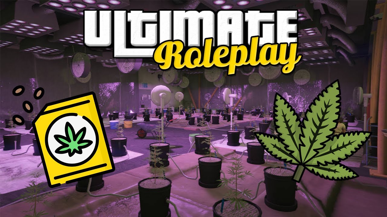 How To Grow Weed In GTA 5 RP | Ultimate Roleplay 