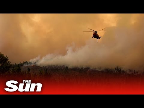 Video: Sierra Nevada En Meer Brouwen Bier Om California Fire Survivors Te Helpen