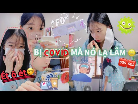 Video BỊ COVID MÀ NÓ LẠ LẮM, CHIẾC F0 YÊU ĐỜI????‍????❤️(Mình đã... - YouTube