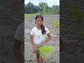 Rubau Janu Babou janu