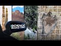 Breathtaking Views and Dinosaurs too! | Science Road Trip to VidCon 2023