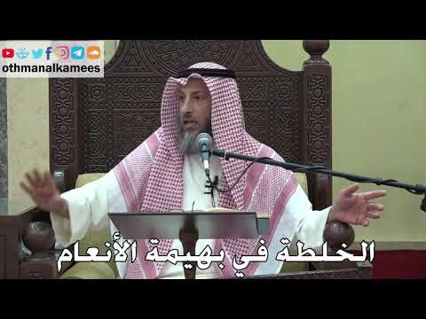 1059 - الخلطة في بهيمة الأنعام - عثمان الخميس - دليل الطالب