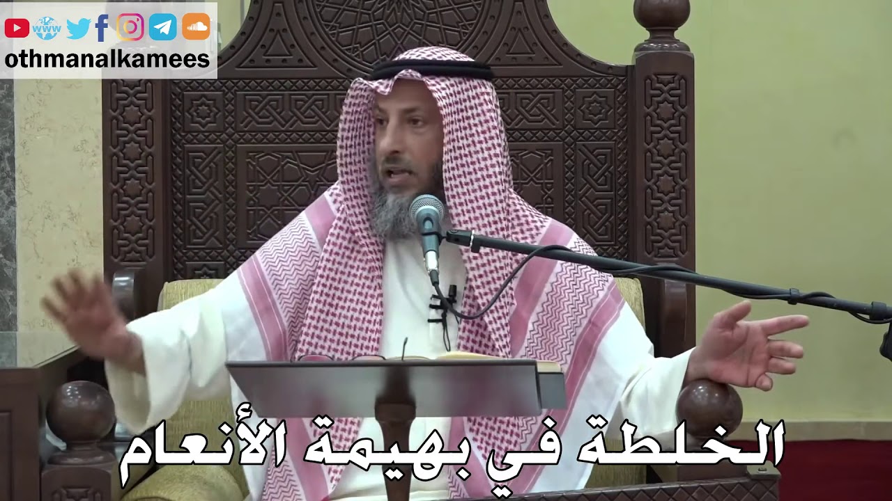 1059 - الخلطة في بهيمة الأنعام - عثمان الخميس - دليل الطالب
