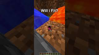 DO NOT CLICK THE SOUND BRO #tweening #minecraft