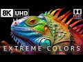 Wild world dolby vision  extreme colorsr 8k 60fps