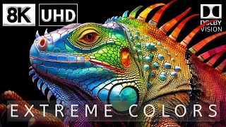 WILD WORLD DOLBY VISION™ | Extreme Colors [HDR 8K 60FPS]