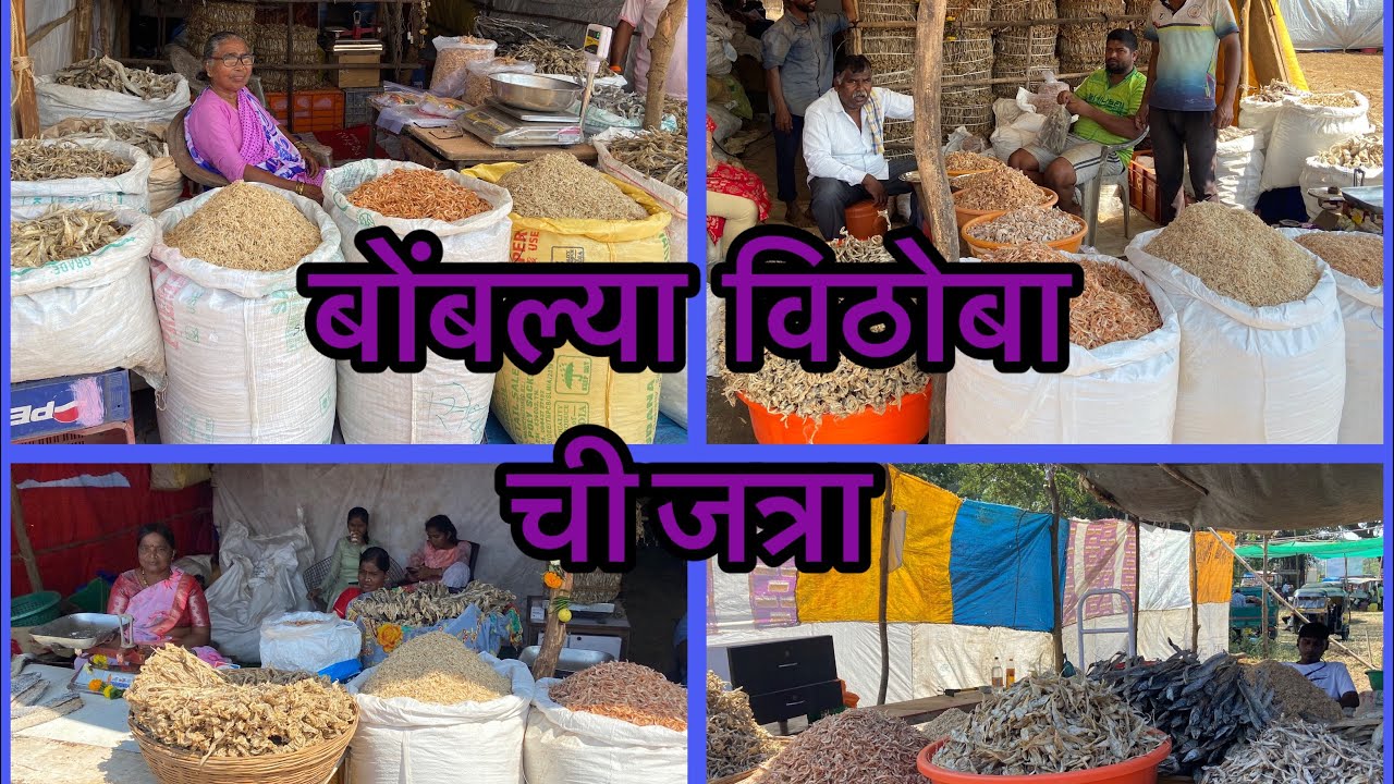 बोंबल्या विठोबा ची जत्रा साजगाव टाकई /सुकऱ्या मासली चा बाजार #jatra #masli #bombil #agrikoli