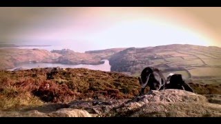 A Love of Ireland - Lough Hyne & Knockomagh - Drone Footage of the Wild Atlantic Way