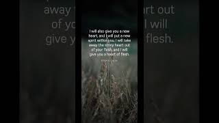 #yahweh #yeshuah #jehovah #jesuschrist #almighty #love #thankyou 🙏🙏🙏🙏🙏🙏🙏🙏🙏❤️❤️❤️❤️❤️❤️❤️❤️