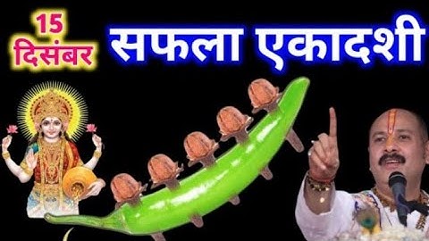 15 दिसंबर सफलता एकादशी पर ये 5 लौंग और 1 हरी मिर्च का उपाय कर लिया तो किस्मत पलट जाएगी  Pandit Mishr