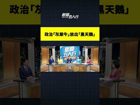 政治「灰犀牛」放出「黑天鵝」