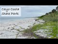 3 hour seashell tour.  Summer vs. Winter shelling. What’s inside a sand dollar?