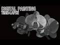 [デジタル画タイムラプス] 2時間50分で描くリアルな胡蝶蘭のデッサンのメイキング | Digital Painting Time Lapse