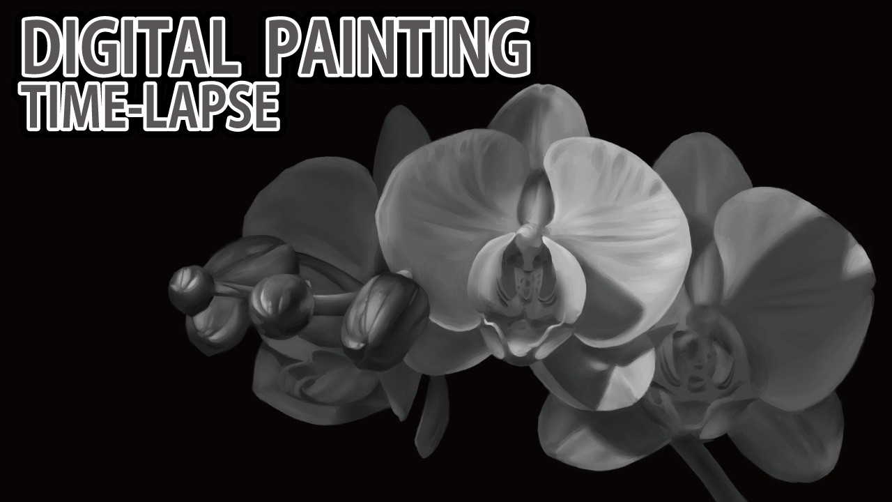 [デジタル画タイムラプス] 2時間50分で描くリアルな胡蝶蘭のデッサンのメイキング | Digital Painting Time Lapse