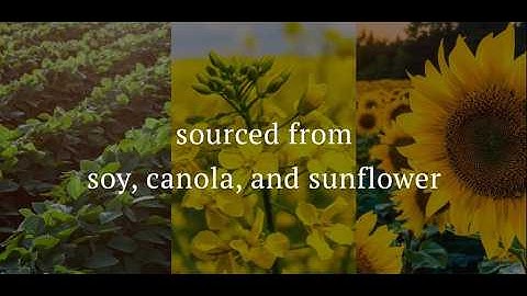 ADM Global Texturants