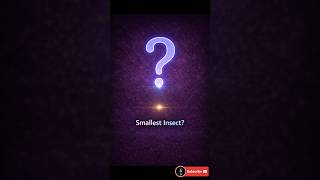 Smallest Insect Explained | Just 139 Micrometers #mrgoodb